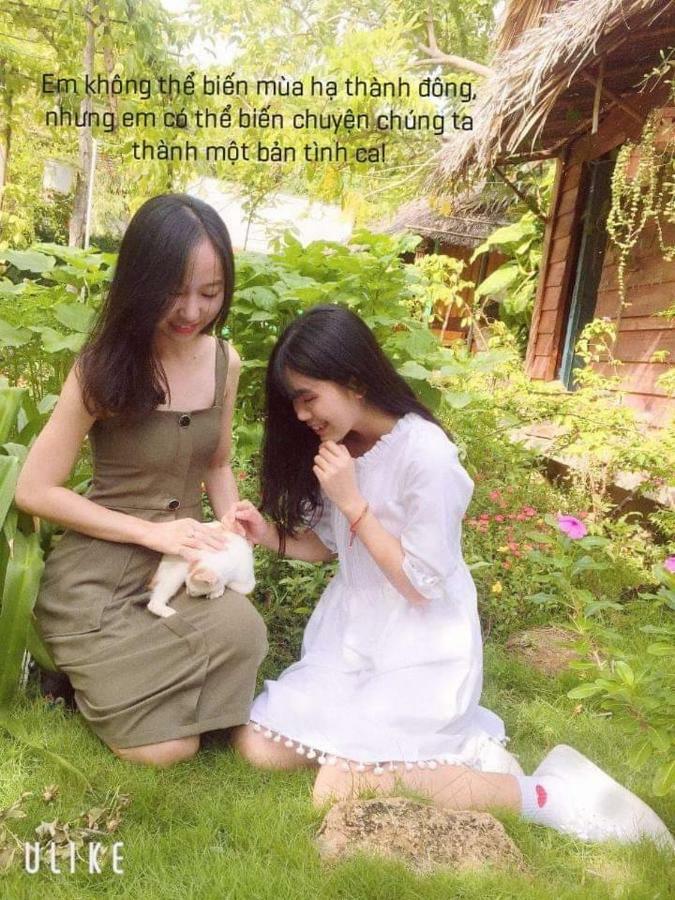 Bach Cuc Homestay Long Hải Extérieur photo