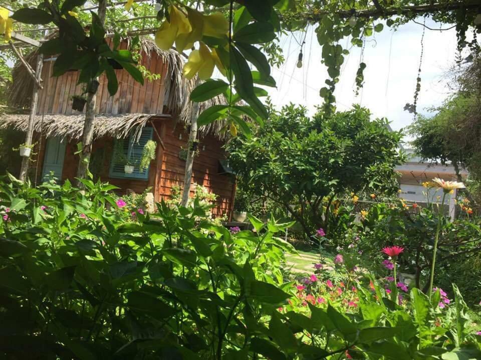 Bach Cuc Homestay Long Hải Extérieur photo