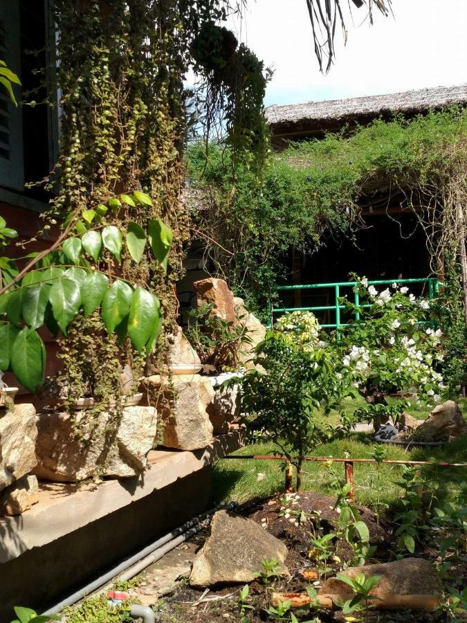 Bach Cuc Homestay Long Hải Extérieur photo