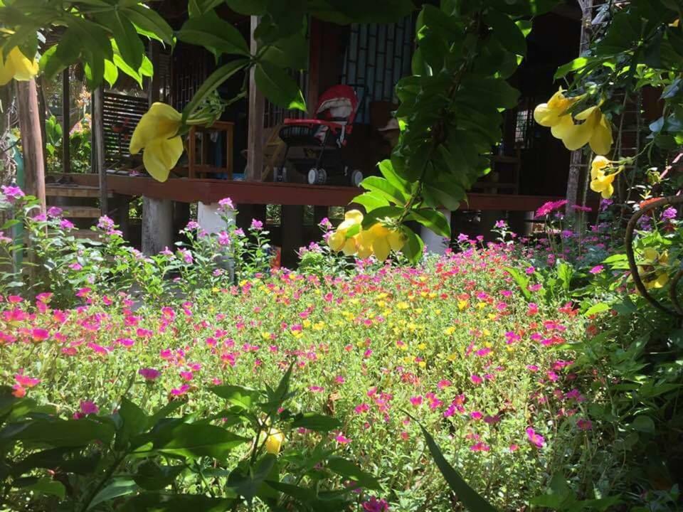 Bach Cuc Homestay Long Hải Extérieur photo